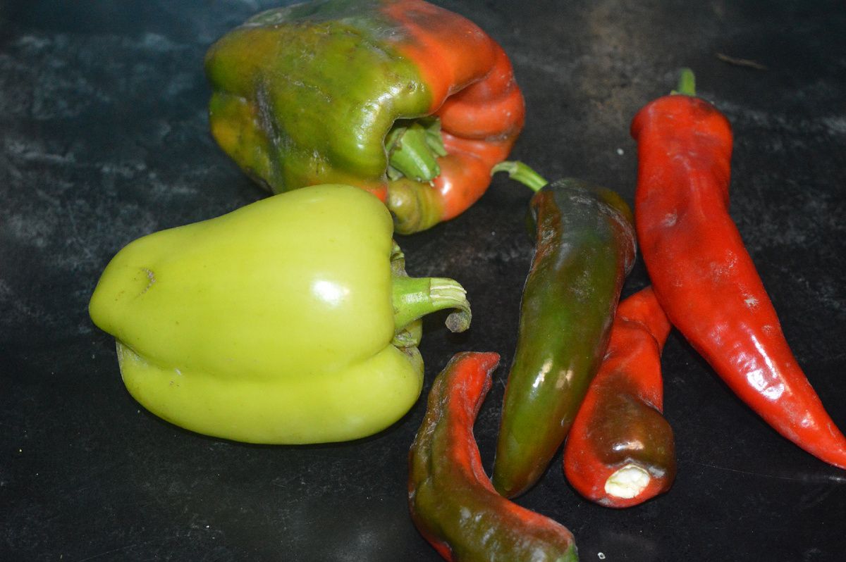 ��� ��������� ���������� ����� ��� ������ ���������