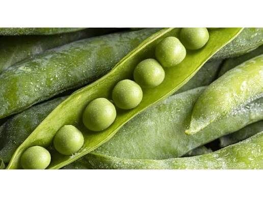 �����: �������� ��� ������ ��������