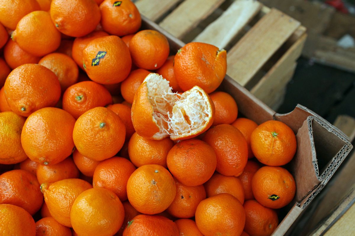 ��� ������� ��������� ���������: ������ �� ������ ��������