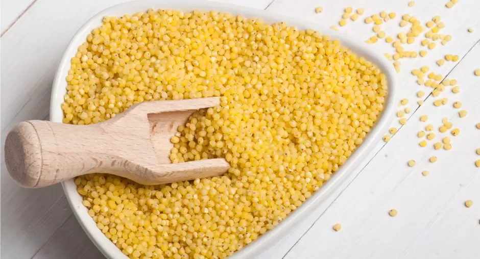 Пшено: древний продукт, богатый белком и ценными веществами