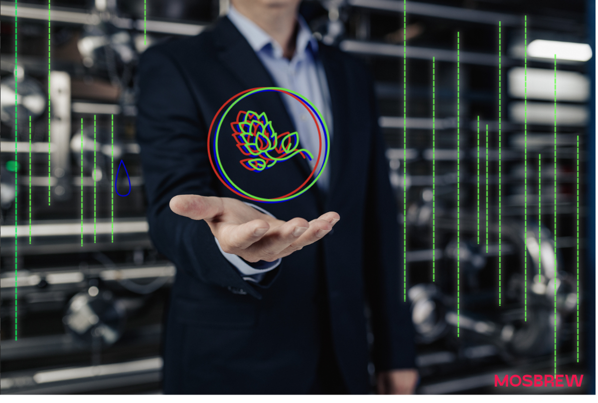 В поисках идеального пива: раскрываем секреты пивной матрицы