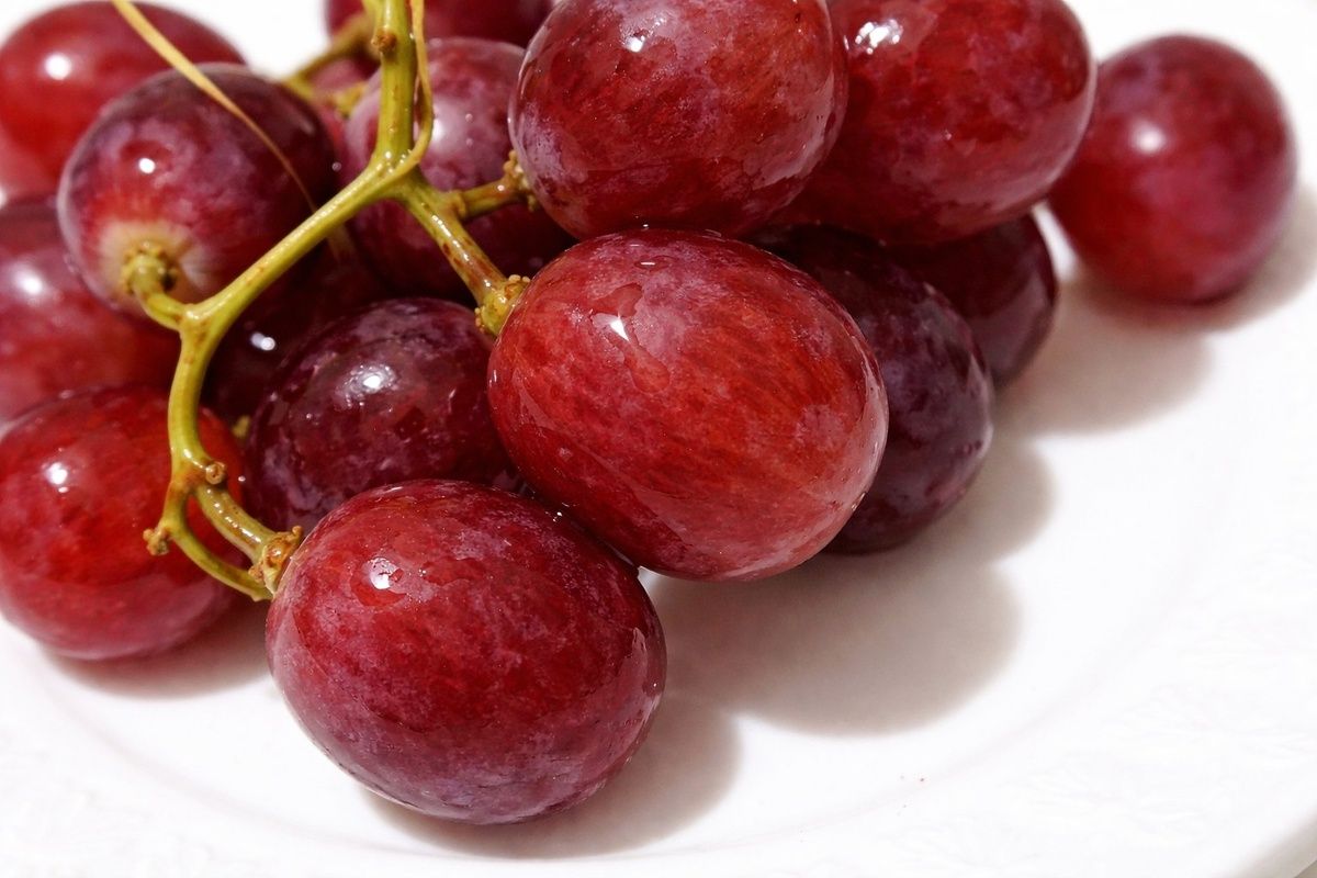 �������� � ������� ����: ���� ���������� �������� �� ������� �� �������