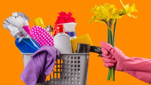 ��� ������ ���������� ������ � ������������� �����������