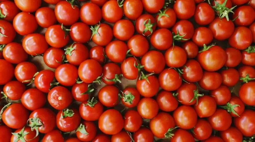 Как приготовить томатную пасту всего за 20 минут: простой и быстрый рецепт