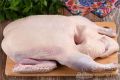 Нежная утка на праздничный стол: простой и вкусный рецепт