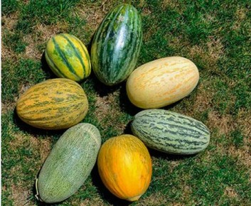 ����: ����������� ����� � ������������ ������ ��� ��������