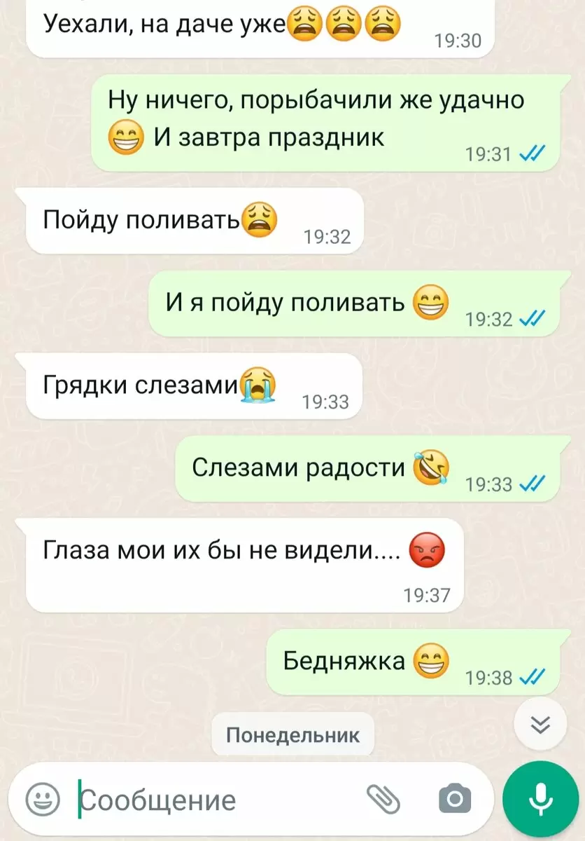 Вкусные приключения: дачное меню для рыбака