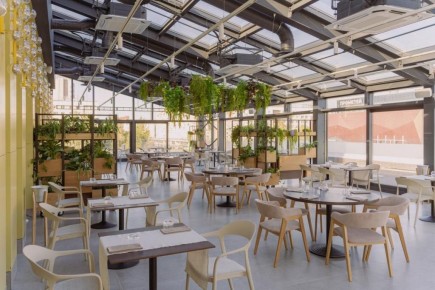 ����� �������� �����: ����������� �� ��������� �����������