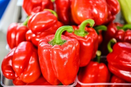 �� �������� ������: ����� ���� �������� � ������ �� ���������� ��������