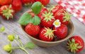 Ароматные клубничные заготовки: радуем себя вкусом на зиму