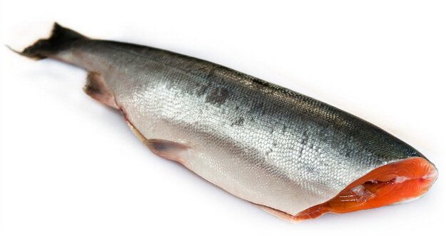Как правильно и вкусно засолить кету в домашних условиях