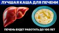 ���� �� �����: ��� ��� ������ �� ������ � ����������� � 2026 ����